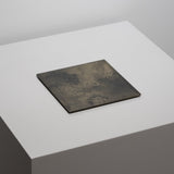 <tc>Takao Togashi / Reversible Plate S</tc>