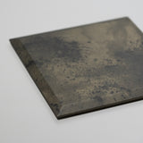 <tc>Takao Togashi / Reversible Plate S</tc>
