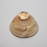 <tc>Masahiro Sakakura / Dai-no-tsuchi Tea Bowl Daido-Kohiki Style (White Slip)</tc>