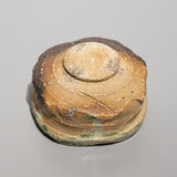 <tc>Kazuhiro Fukushima / Iga Tea Bowl</tc>