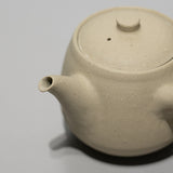 <tc>Hitoshi Morimoto / Shirahana Tea Pot</tc>