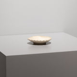 熊本象 / シェル小皿
