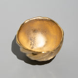 高橋奈己 / 金彩盃(一点物)