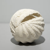 高橋奈己 / 実のかけら A(一点物)