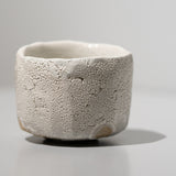 <tc>Raizan Yasunaga / White Karatsu Faceted Sake Cup</tc>