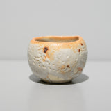 <tc>Ryotaro Kato / Shino Style Sake cup</tc>