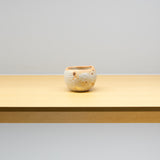 <tc>Ryotaro Kato / Shino Style Sake cup</tc>