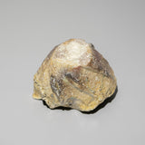 福島一紘 / 伊賀片口(一点物)