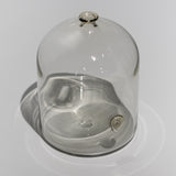 光井威善 / face vase