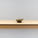 <tc>Kenta Nakazato / Hakeme Sake cup</tc>