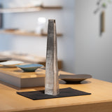 <tc>Masaaki Iwasa / Silver Flower Vase</tc>