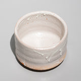 渋谷英一 / 白萩茶碗(一点物)