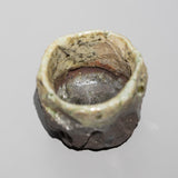 <tc>Kazuhiro Fukushima / Iga Sake Cup</tc>