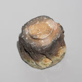 <tc>Kazuhiro Fukushima / Iga Sake Cup</tc>