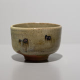 中里太亀 / 絵唐津茶碗(一点物)