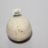 <tc>Hiroyumi Suzuki / Kohiki Tokkuri Sake Flask</tc>