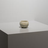 <tc>Hideki Yamamoto / Glass Glaze Mishima-Style Sake Cup B</tc>