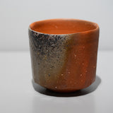 <tc>Hitoshi Morimoto / Bizen Tea Bowl</tc>