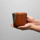 <tc>Hitoshi Morimoto / Bizen Tea Bowl</tc>