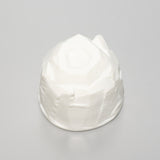 <tc>Syo Fujita / White Bizen Sake Cup</tc>