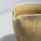 <tc>Hitoshi Morimoto / Yellow Ash Glaze Sake Server</tc>
