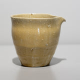 <tc>Hitoshi Morimoto / Yellow Ash Glaze Sake Server</tc>