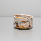 <tc>Makoto Yamaguchi / Shino Sake Cup</tc>