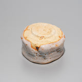 <tc>Makoto Yamaguchi / Shino Sake Cup</tc>