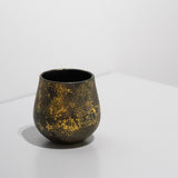 <transcy>Akihiko Sugita / Egg Plant Cup Gold</transcy>