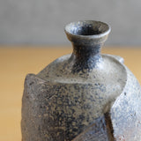 <transcy>Hiroshi Toyofuku / Sake Bottle</transcy>