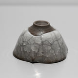 <transcy>Takeshi Imaizumi / Ice Crackle Sake Cup</transcy>