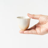 水仙 輪花茶杯