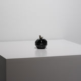 <tc>Takao Togashi / Bird Small Box</tc>