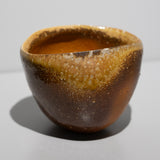 <tc>Koichiro Isezaki / Bizen Tea Bowl</tc>
