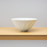 <tc>Hiroshi Taruta / Bowl - Dressed in the Light</tc>