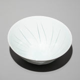 <tc>Hiroshi Taruta / Bowl - Dressed in the Light</tc>