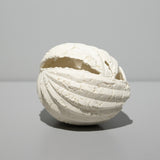 高橋奈己 / 実のかけら A（一点物）