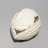 高橋奈己 / 実のかけら A（一点物）