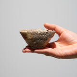 柳下季器 / 信楽筆洗ぐい呑（一点物）