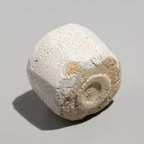 <tc>Raizan Yasunaga / White Karatsu Faceted Sake Cup</tc>