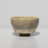<tc>Hosai Matsubayashi / Sake Cup Geppaku Glaze (Silver Paint)</tc>