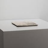 岩佐昌昭 / 銀彩プレート（小）