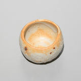 <tc>Ryotaro Kato / Shino Style Sake cup</tc>
