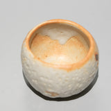 <tc>Ryotaro Kato / Shino Style Sake cup</tc>