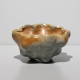 <tc>Taiga Mori / Moco-Moco Tea Bowl</tc>