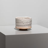 渋谷英一 / 白萩茶碗（一点物）