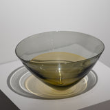 <tc><!-- x-tinymce/html -->Takeyoshi Mitsui / Amber on Gray</tc>