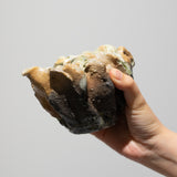 <tc>Kazuhiro Fukushima / Iga Sake Server</tc>