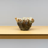 <tc>Kazuhiro Fukushima / Iga Sake Server</tc>