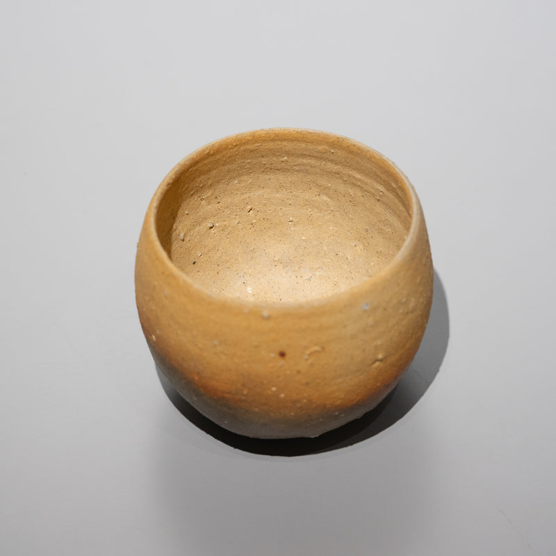 <tc>Q Tani / Shigaraki Tea Bowl</tc>